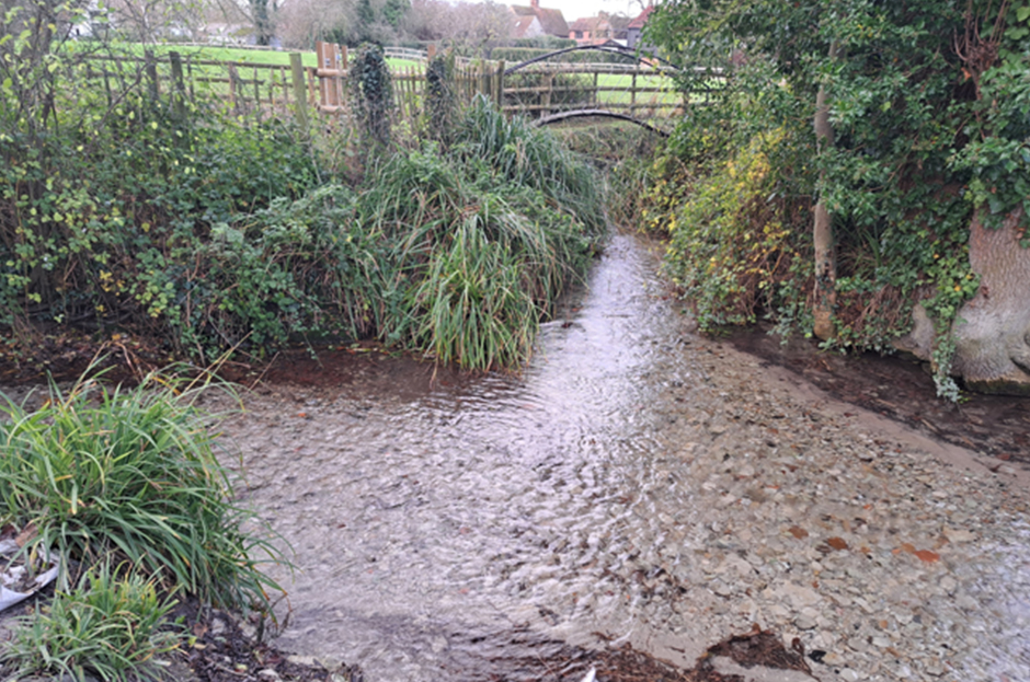 The Wallignford Brooks